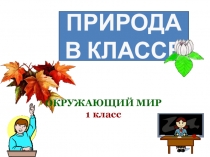 Конспект урока по окружающему миру 