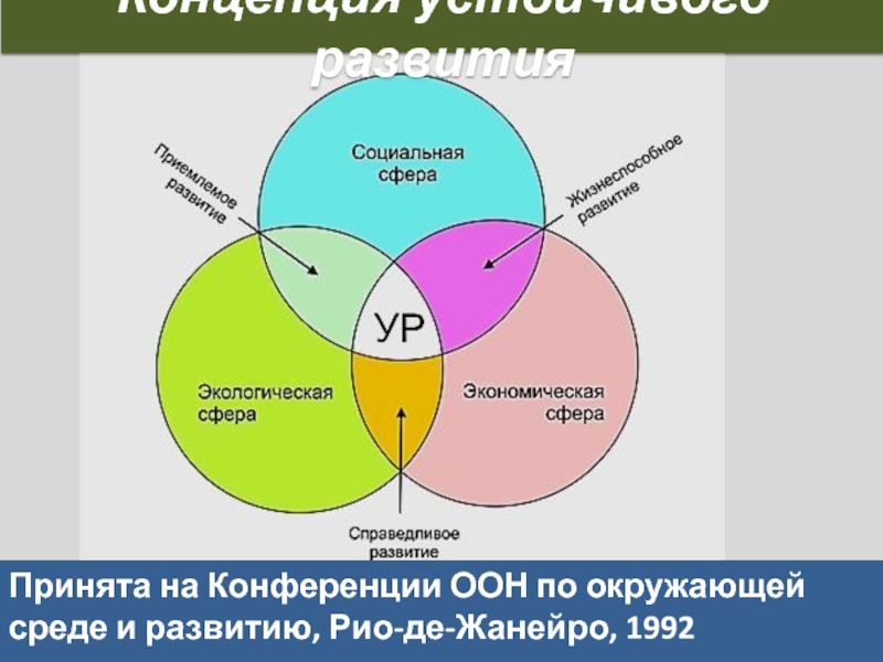 Общество и окружающая среда презентация 11 класс