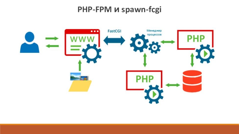 Php fpm sock. Php-FPM. Php FPM процессы.