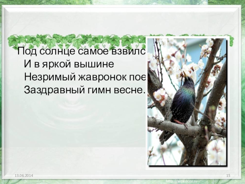 Незримый жаворонок поет гимн весне. Под солнце самое взвился. Заздравный гимн весне. Незримый Жавронок поет. И В яркой вышине незримый Жаворонок.