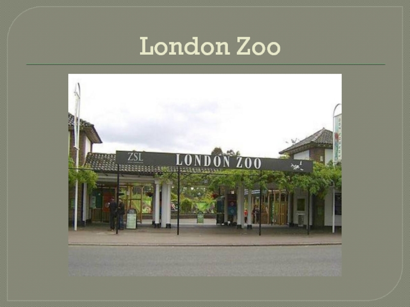 Презентация London Zoo