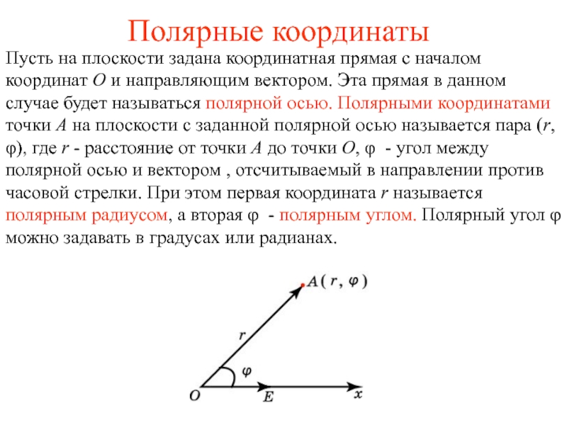 Презентация Полярные координаты