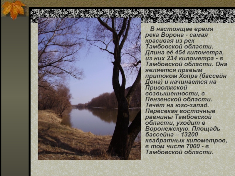 В настоящее время река Ворона - самая красивая из рек Тамбовской области. Длина
