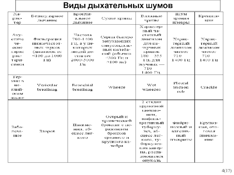 Характер основных дыхательных шумов