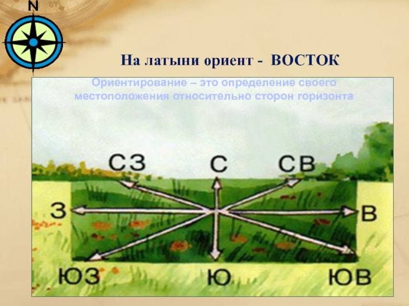 Определение своего местоположения относительно сторон горизонта. Промежуточные стороны горизонта. Россия относительно сторон горизонта. Стороны горизонта на немецком.