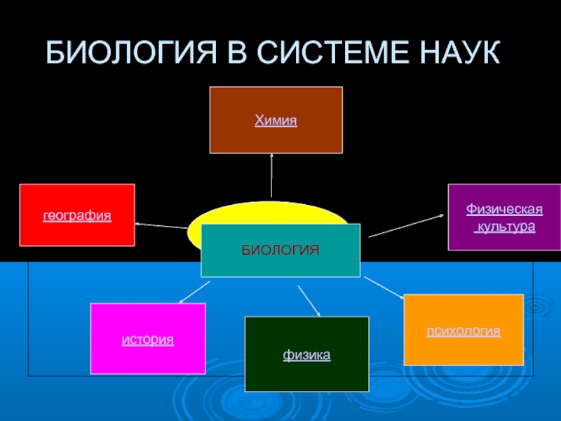 Схема биологические науки