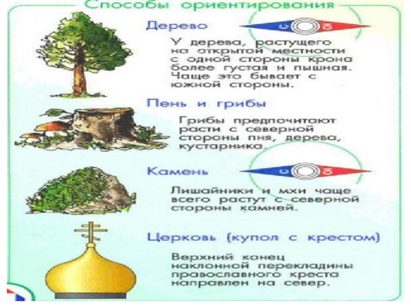 Географические понятия и термины. Географические понятия на букву о. Географический термин на букву е. Географические термины на букву а. Термин по географии на букву е.