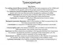 Транскрипция