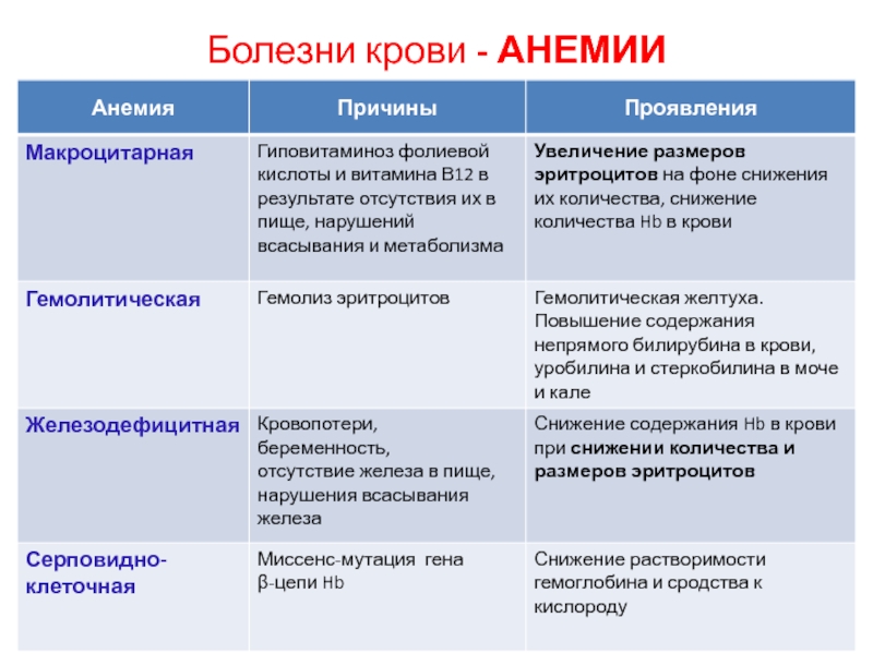 Проект заболевания крови