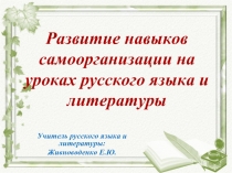 Развитие навыков самоорганизации на уроках русского языка и литературы