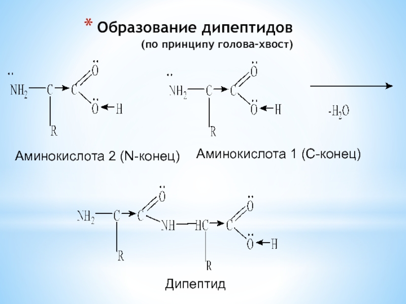 Схема образования дипептида