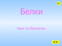 БЕЛКИ