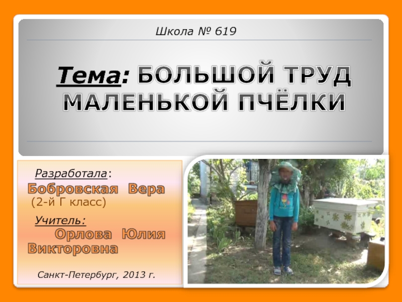 Исследование организации и продуктов жизнедеятельности пчёл в улье