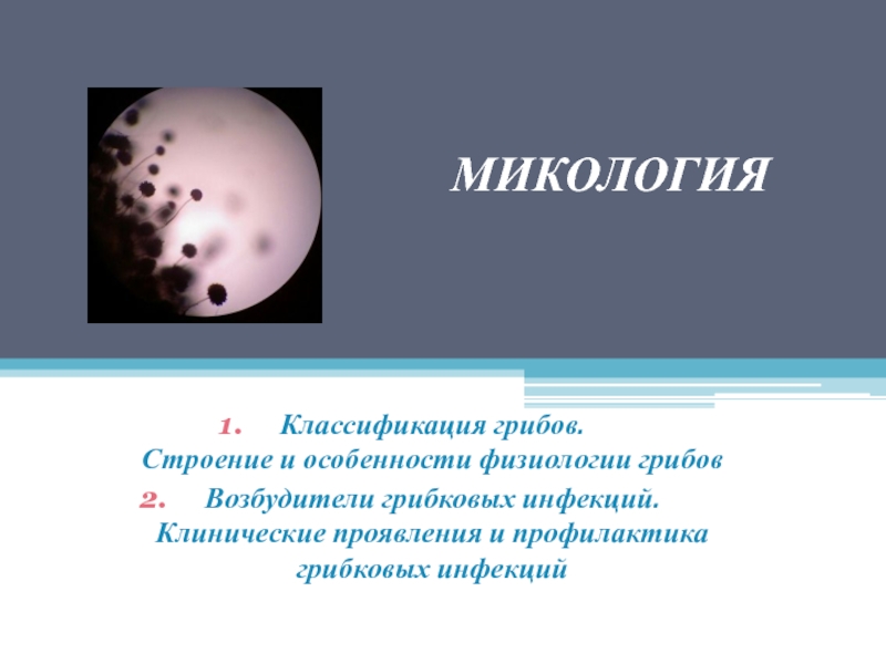 МИКОЛОГИЯ