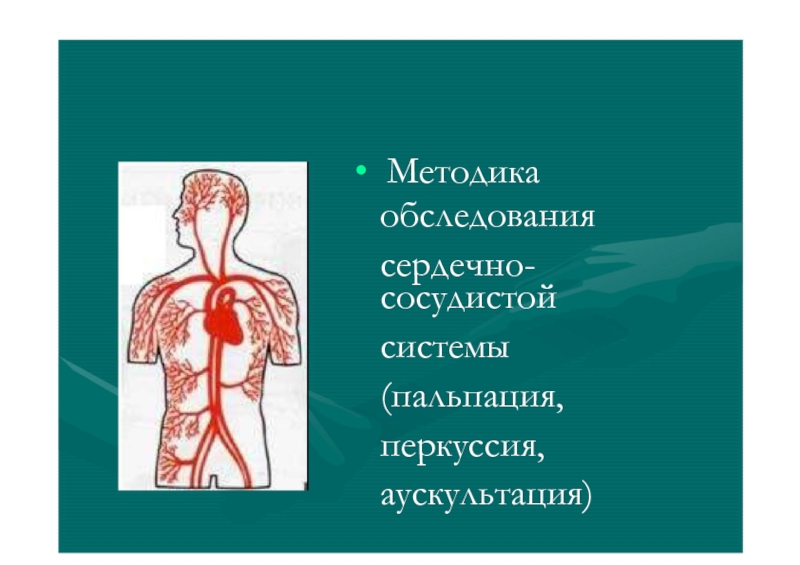 Презентация • Методика
обследования сердечно-
сосудистой системы (пальпация, перкуссия,