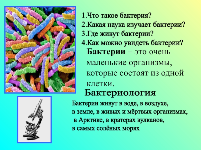 Интересные факты о бактериях. Наука изучающая бактерии называется. Тело бактерий состоит из. Бактерии определение. Интересные факты о молочнокислых бактериях.