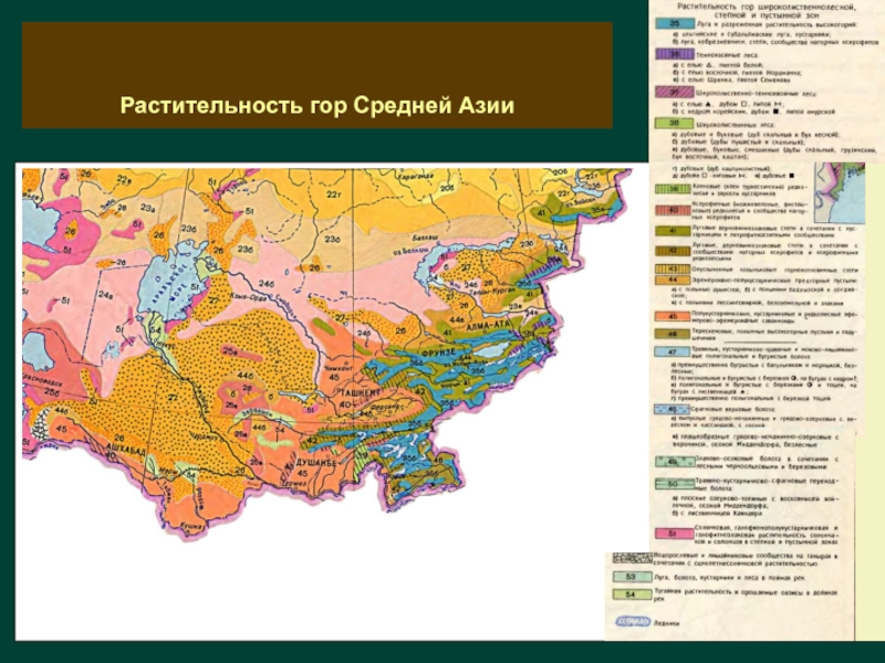 Карта растительности казахстана