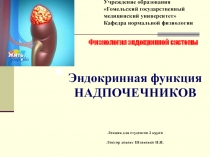 Эндокринная функция НАДПОЧЕЧНИКОВ