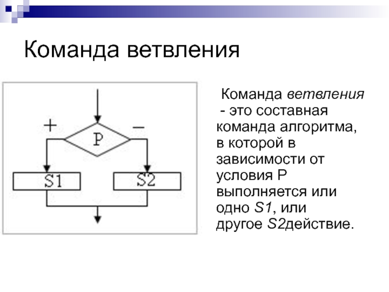 Команда алгоритма это