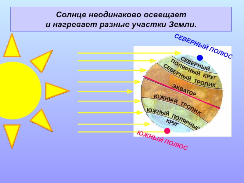 Солнце неодинаково освещает и нагревает разные участки Земли.