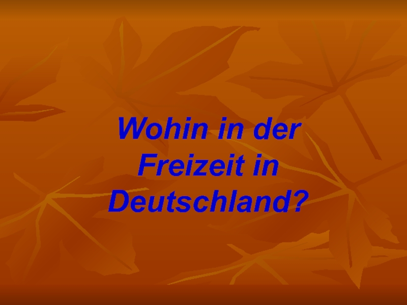 Презентация Wohin in der Freizeit in Deutschland?