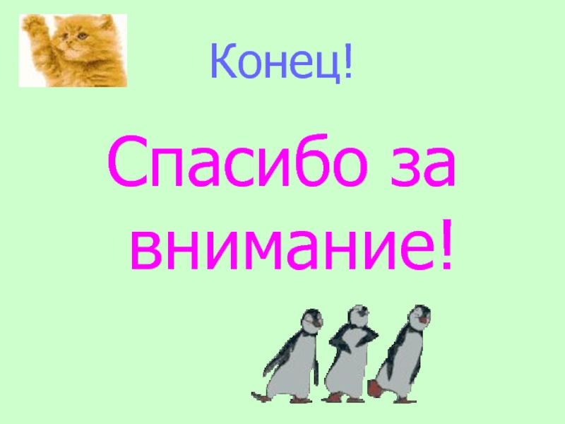 Конец спасибо. Концовка проекта спасибо за внимание.