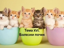 Тема XVI. Болезни почек