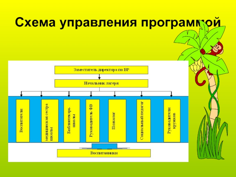 Самоуправление в лагере схема