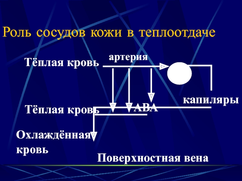 Роль энергии