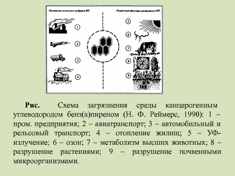 На рисунке показана схема загрязнения