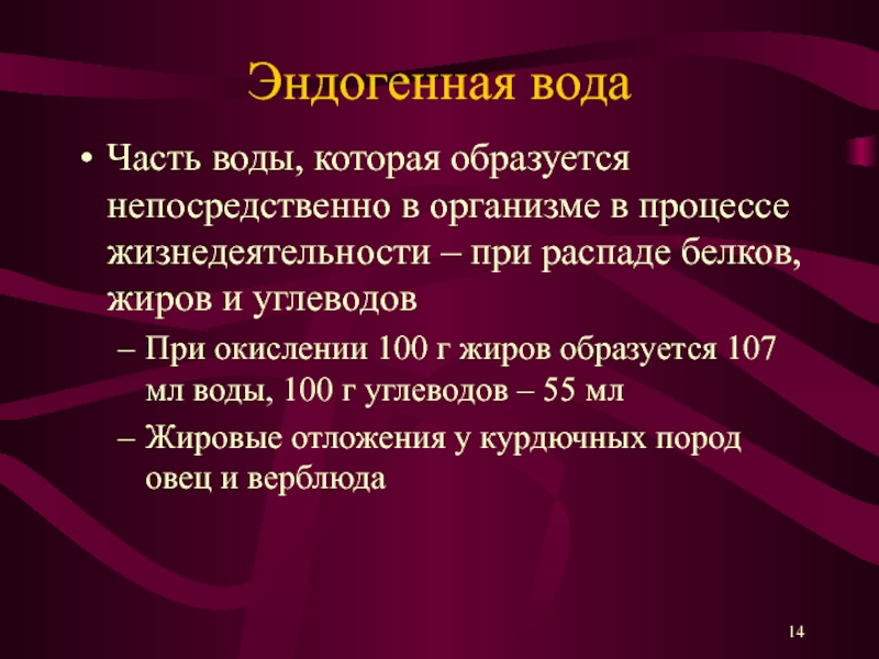 Как появляется жидкость. Эндогенная вода в организме. Эндогенная вода образуется. Эндогенная вода функция. Образование эндогенной воды в организме.