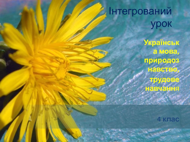 Українська мова, природознавство, трудове навчання 4 класс