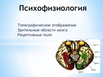 Психофизиология