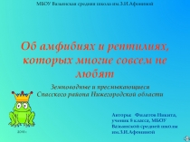 Об амфибиях и рептилиях, которых многие совсем не любят