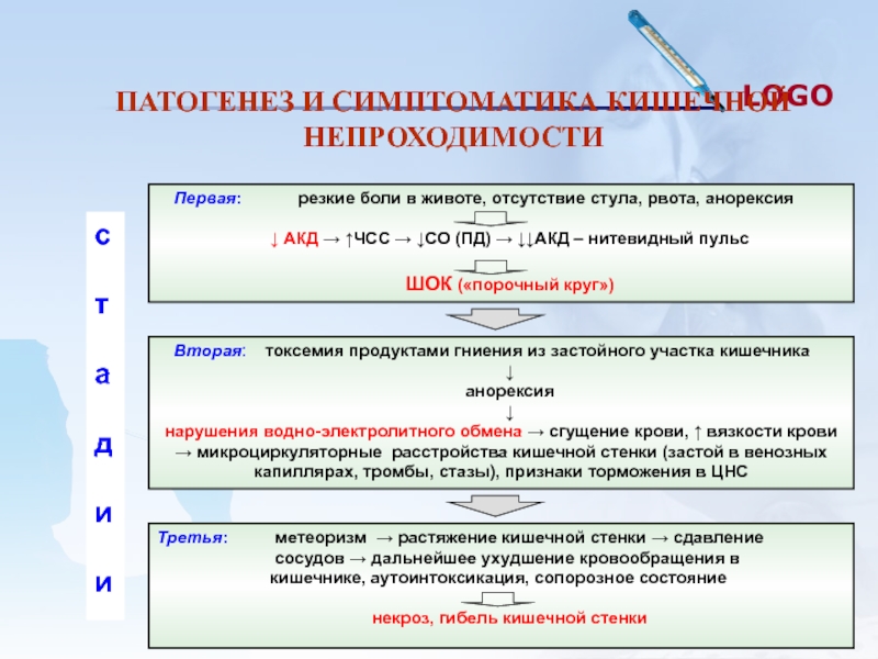 Кишечная непроходимость патофизиология презентация