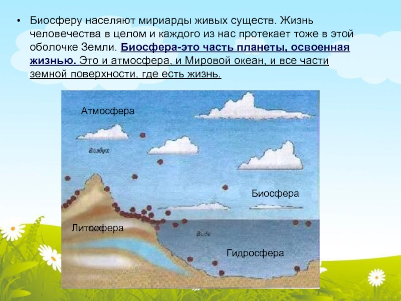 Биосфера земная оболочка презентация 6 класс полярная звезда география