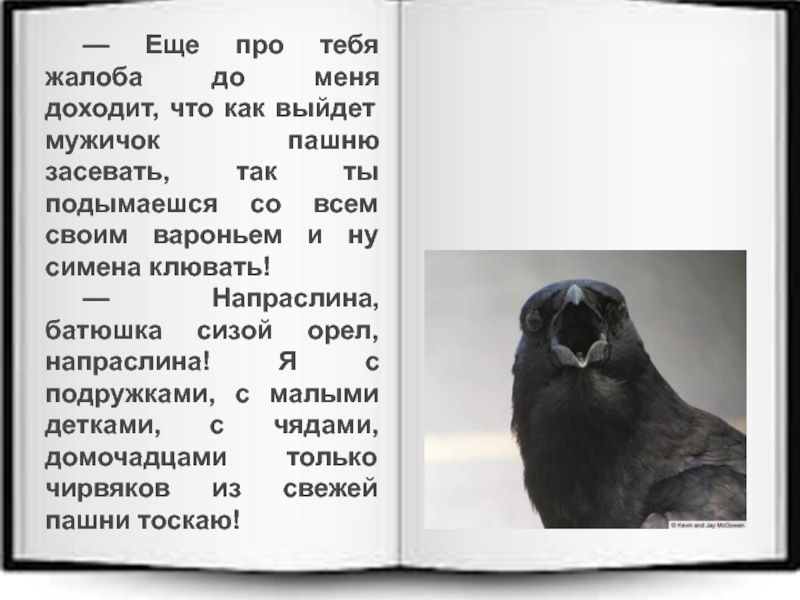 Ворон план. Клювать+или+клевать. Ворона даль. Притча о вороне даль. Даль ворона Главная мысль.