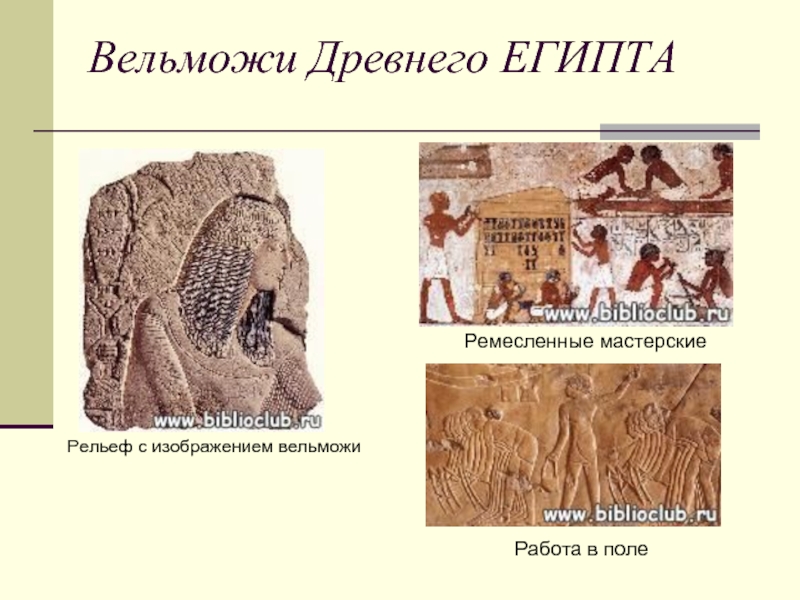 Вельможи Древнего ЕГИПТАРельеф с изображением вельможиРемесленные мастерскиеРабота в поле