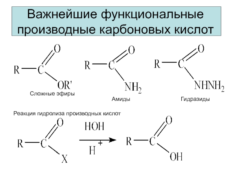 Важнейшие функциональные производные карбоновых кислотСложные эфирыАмидыГидразидыРеакция гидролиза производных кислот