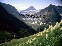 Yellowstone - National parks