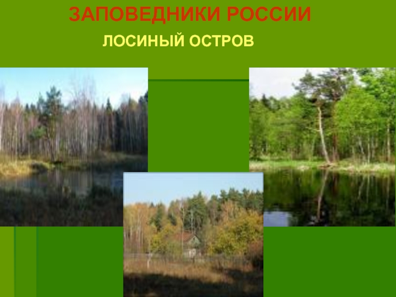 Природное сообщество болото 3 класс занков презентация