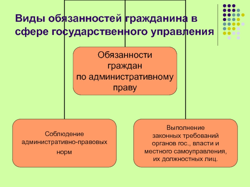 Обязать вид