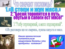 Что означают пословицы?
1.В степи и жук мясо.
обутый в сапоги ест