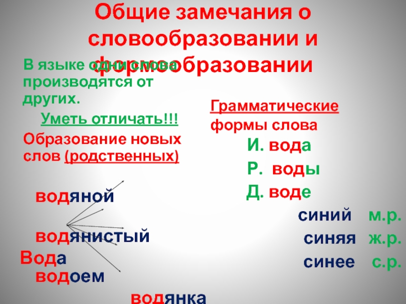 Презентация Общие замечания о словообразовании и формообразовании