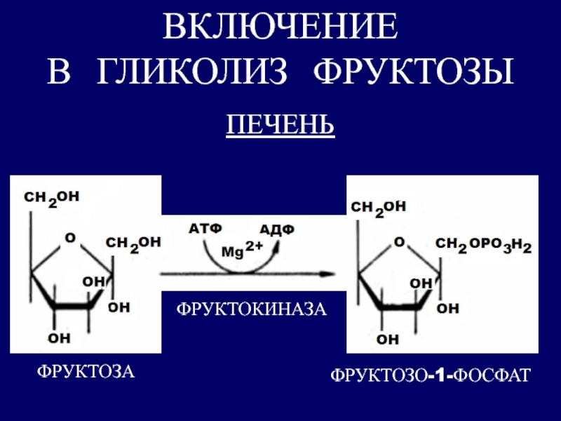 Гликолиз молекулы атф