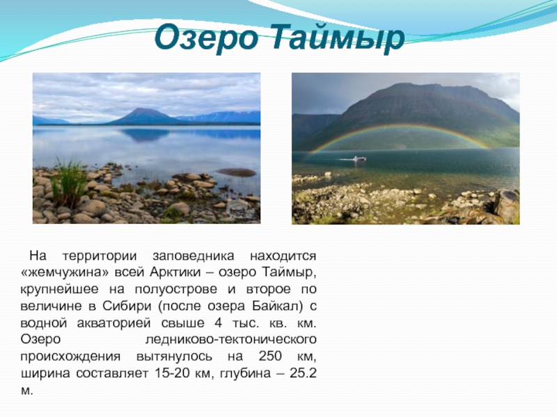 Озеро Таймыр На территории заповедника находится «жемчужина» всей Арктики – озеро Таймыр, крупнейшее на полуострове и второе