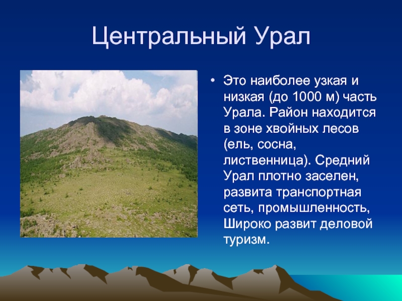 Центральный УралЭто наиболее узкая и низкая (до 1000 м) часть Урала. Район находится в зоне хвойных лесов