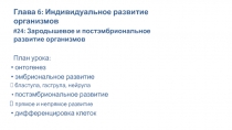 Глава 6 : Индивидуальное развитие организмов
# 2 4 : Зародышевое и