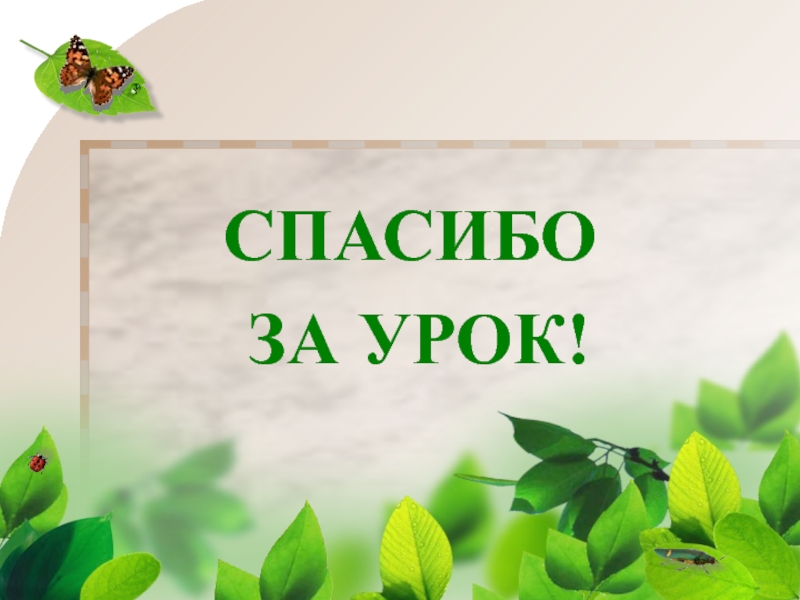 Урок окружающего мира 2 класс в гости к весне презентация школа россии