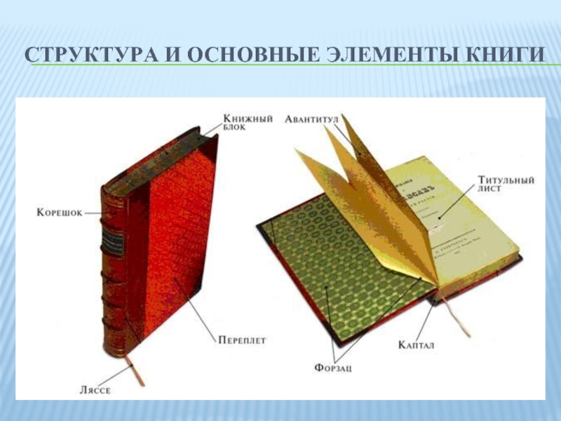 Структура и основные элементы книги